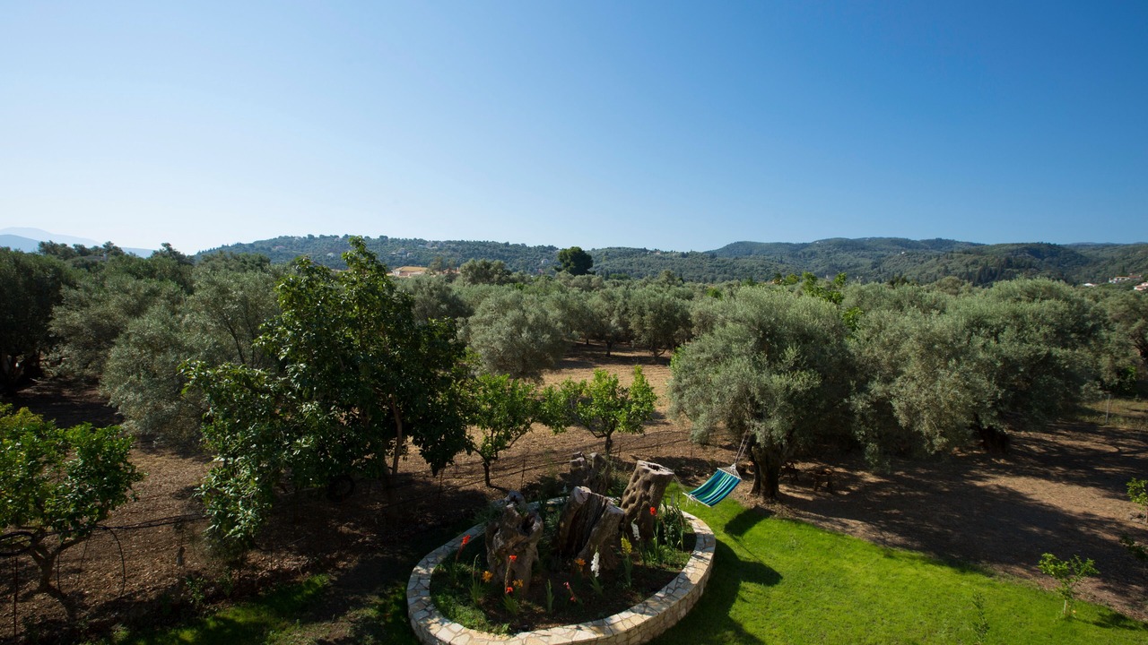 Photo of Outdoor in Apolpaina