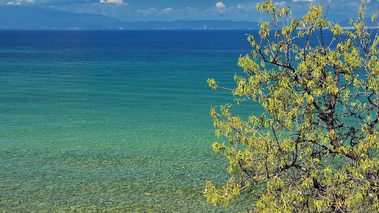 Photo of Others in Skala Sotiros
