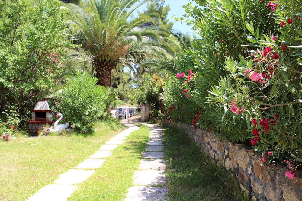 Photo of Outdoor in Paliouri