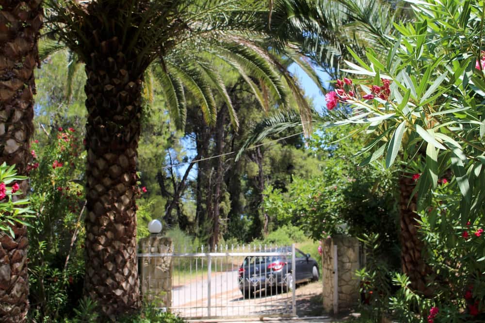 Photo of Others in Paliouri