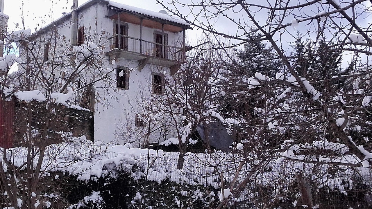 Photo of Outdoor in Artemisia
