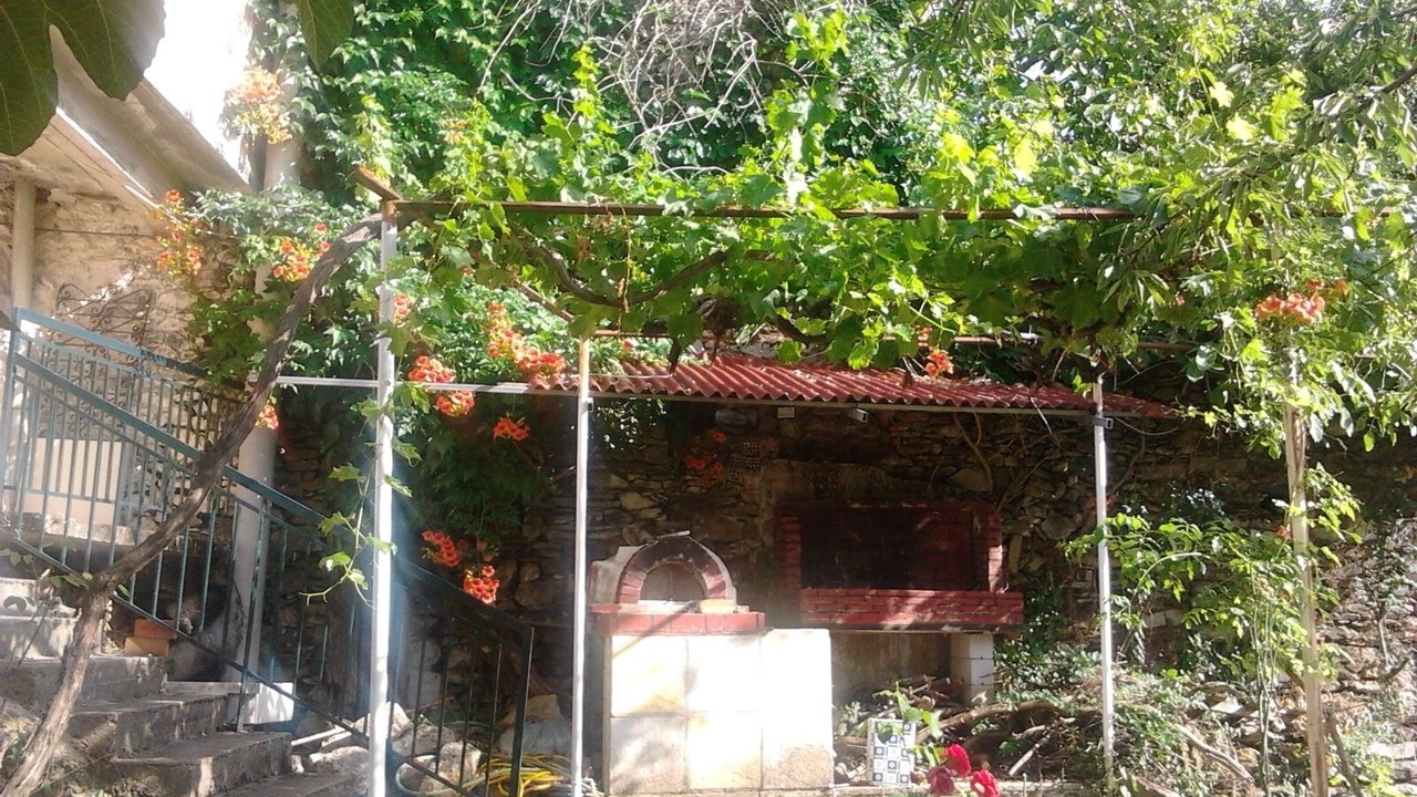 Photo of Outdoor in Artemisia