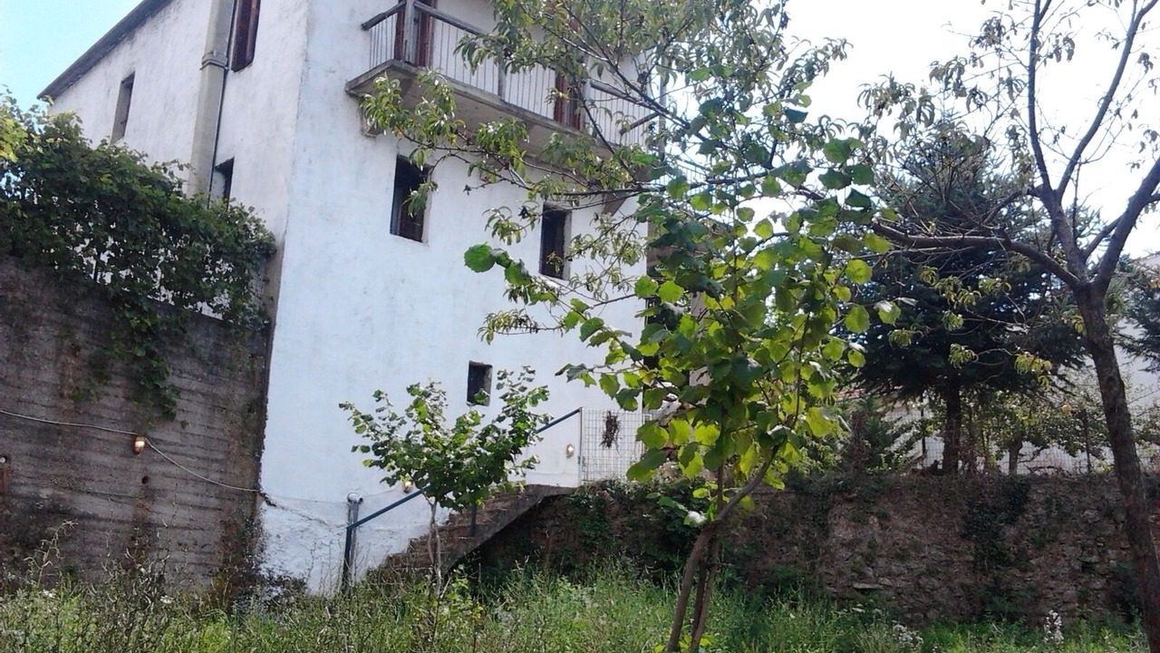 Photo of Outdoor in Artemisia