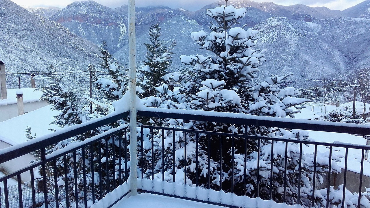 Photo of Outdoor in Artemisia