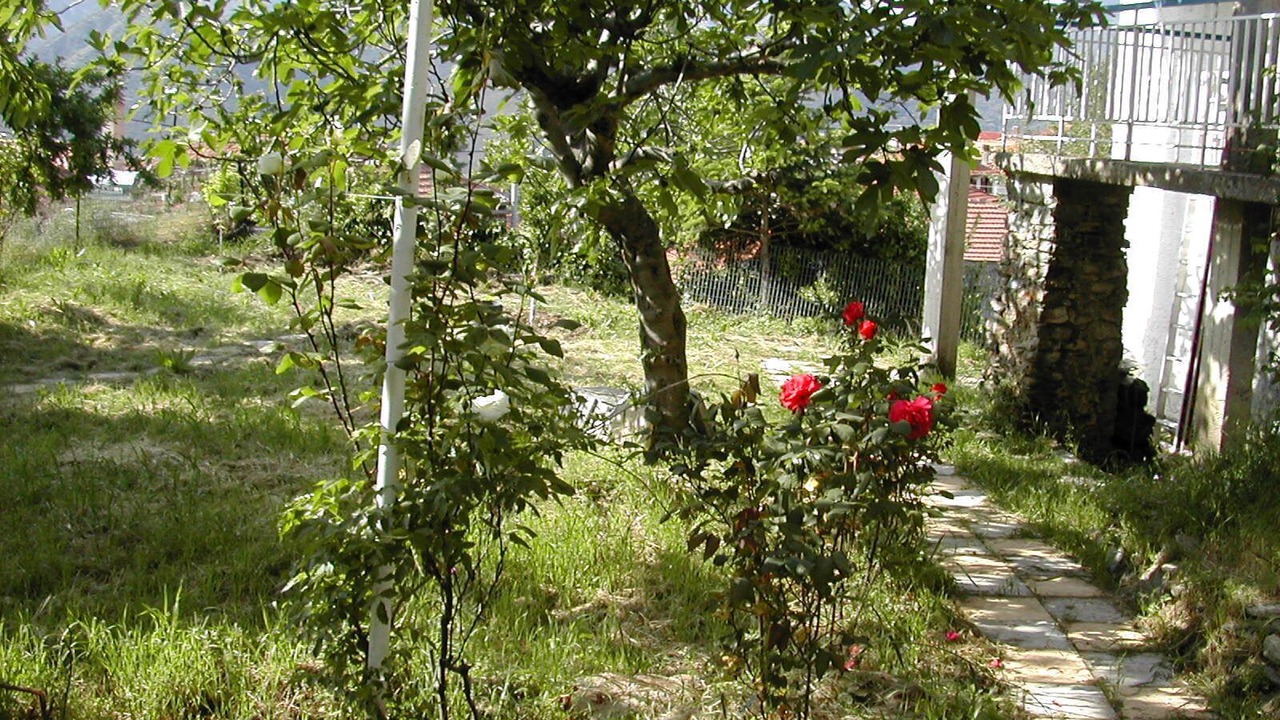 Photo of Outdoor in Artemisia