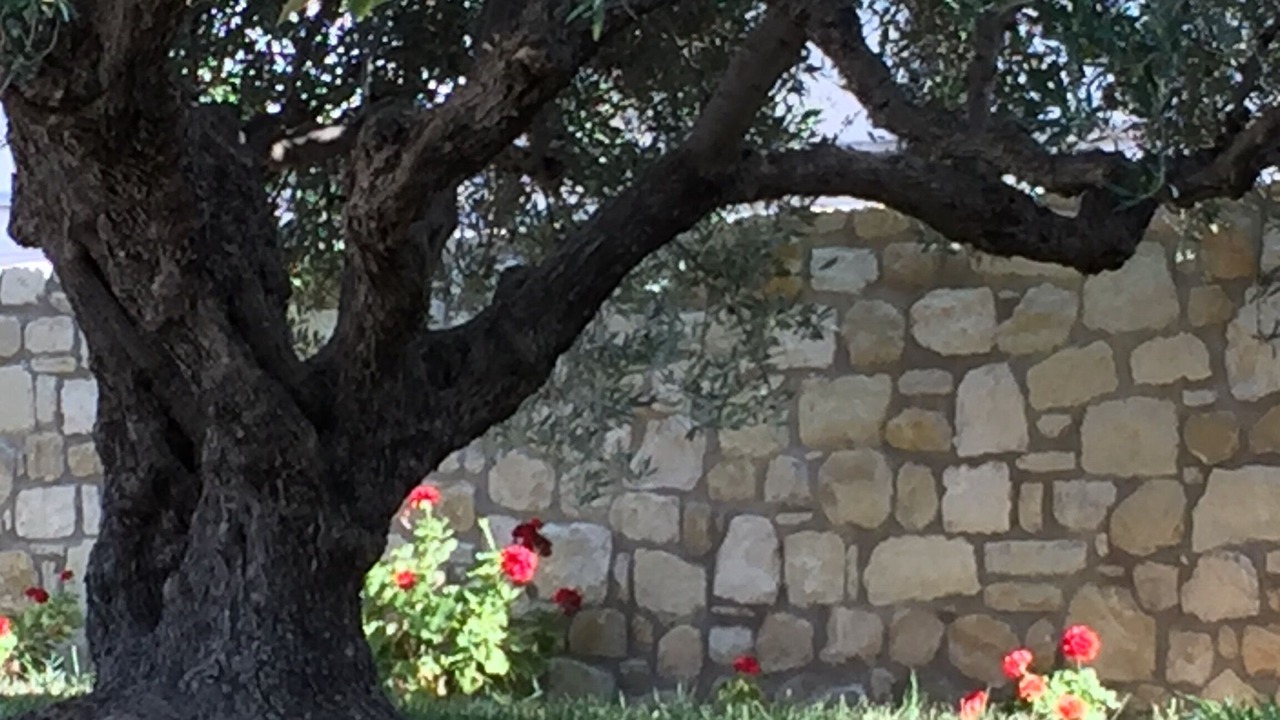 Photo of Outdoor in Ierapetra