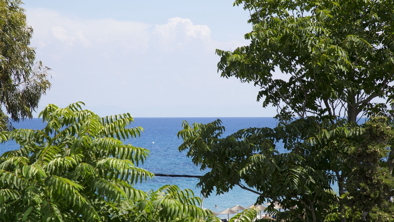 Photo of Outdoor in Ixia