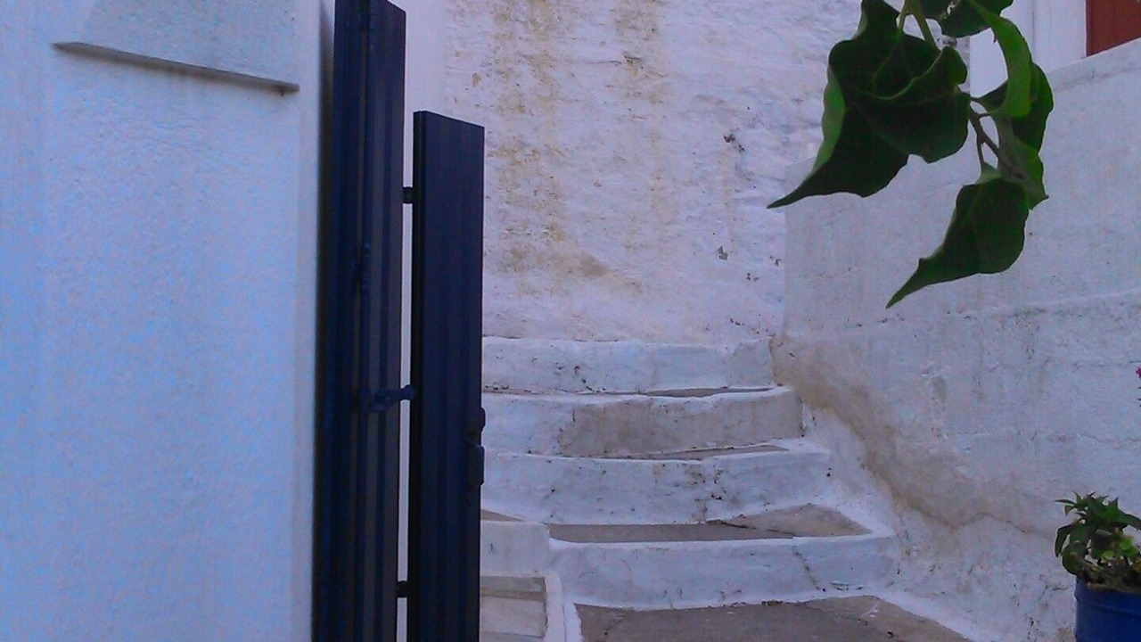 Photo of Others in Skopelos