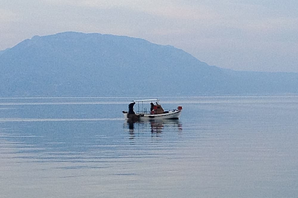 Photo of Others in Nerantza