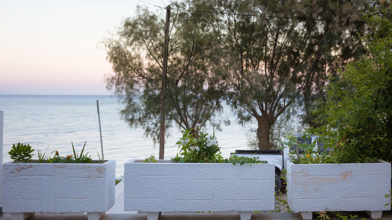 Photo of Others in Paralia Agias Fotinis