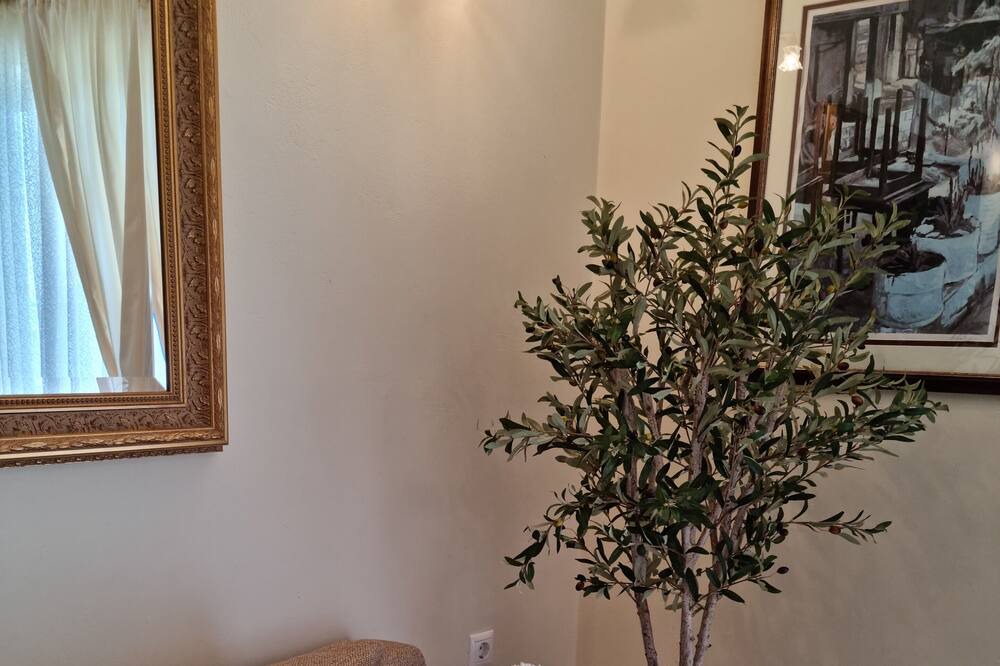 Photo of Livingroom in Vlachatika