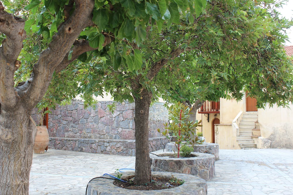 Photo of Others in Zaros