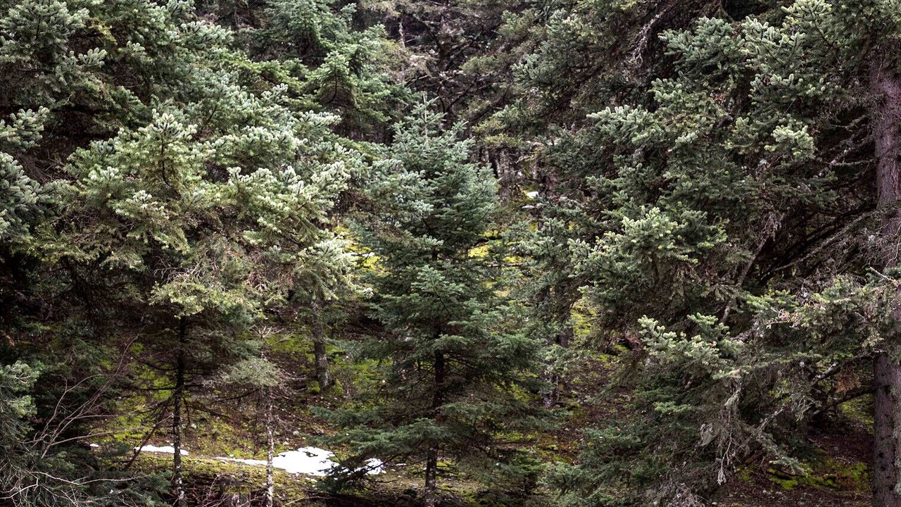 Photo of Outdoor in Kalavrita