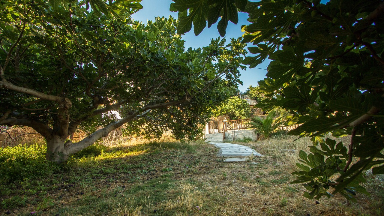 Photo of Outdoor in Falassarna