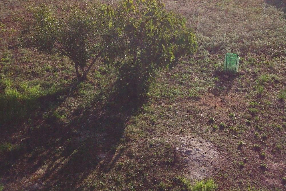Photo of Others in Pesada