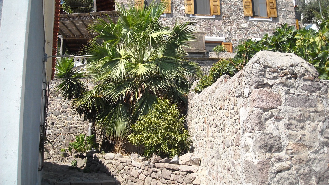 Photo of Outdoor in Mithimna