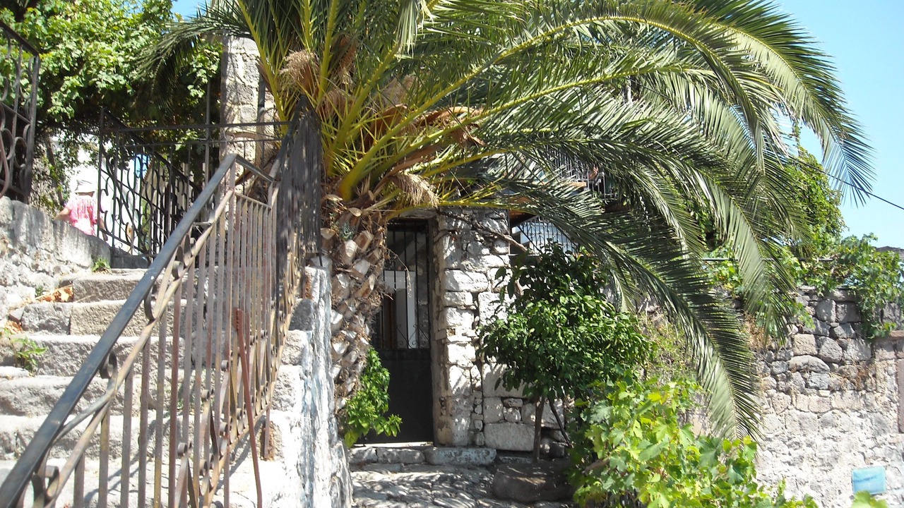 Photo of Outdoor in Mithimna