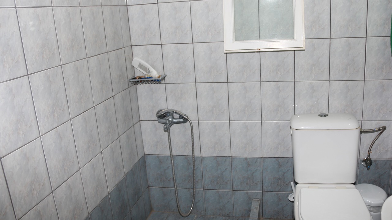 Photo of Bathroom in Plomari
