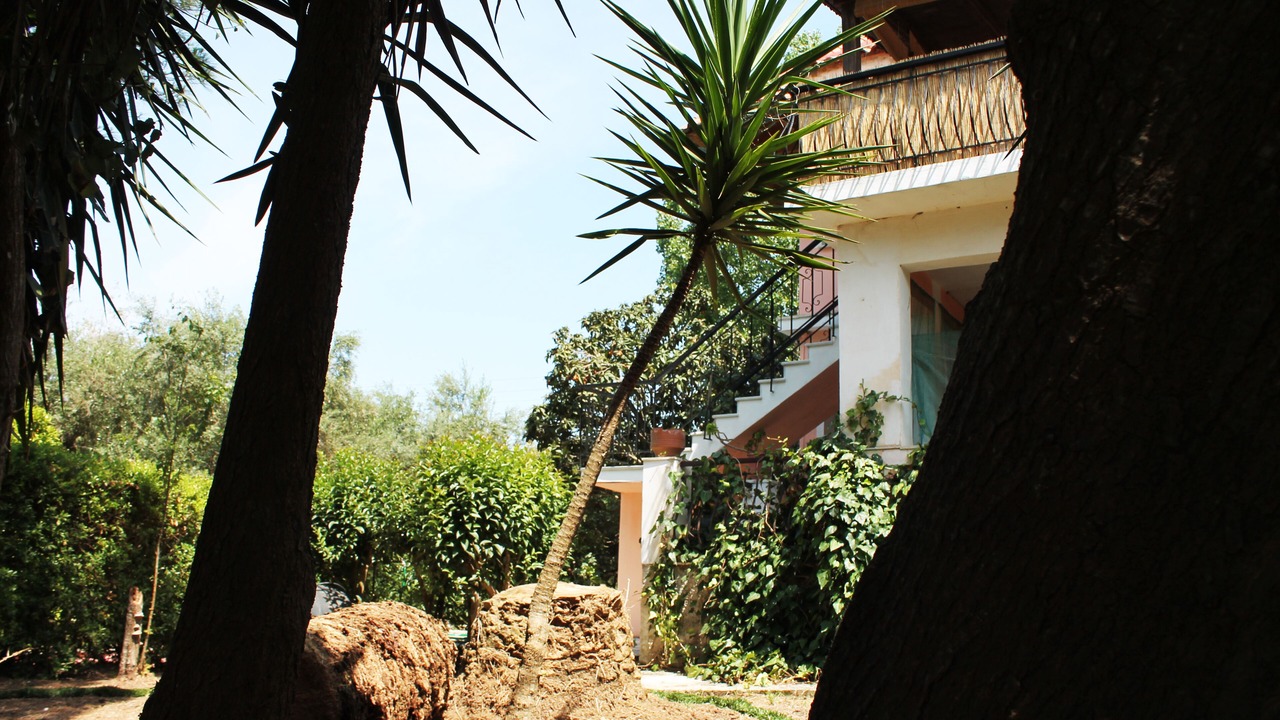 Photo of Outdoor in Laganas
