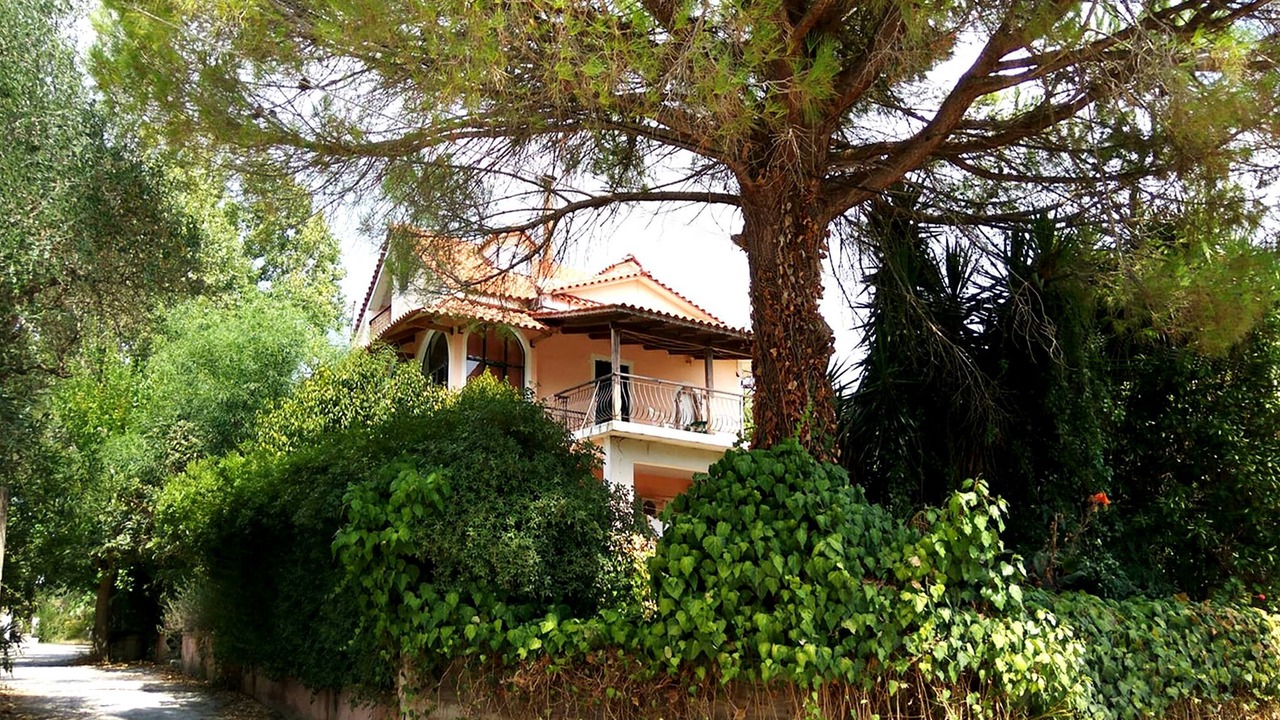 Photo of Outdoor in Laganas