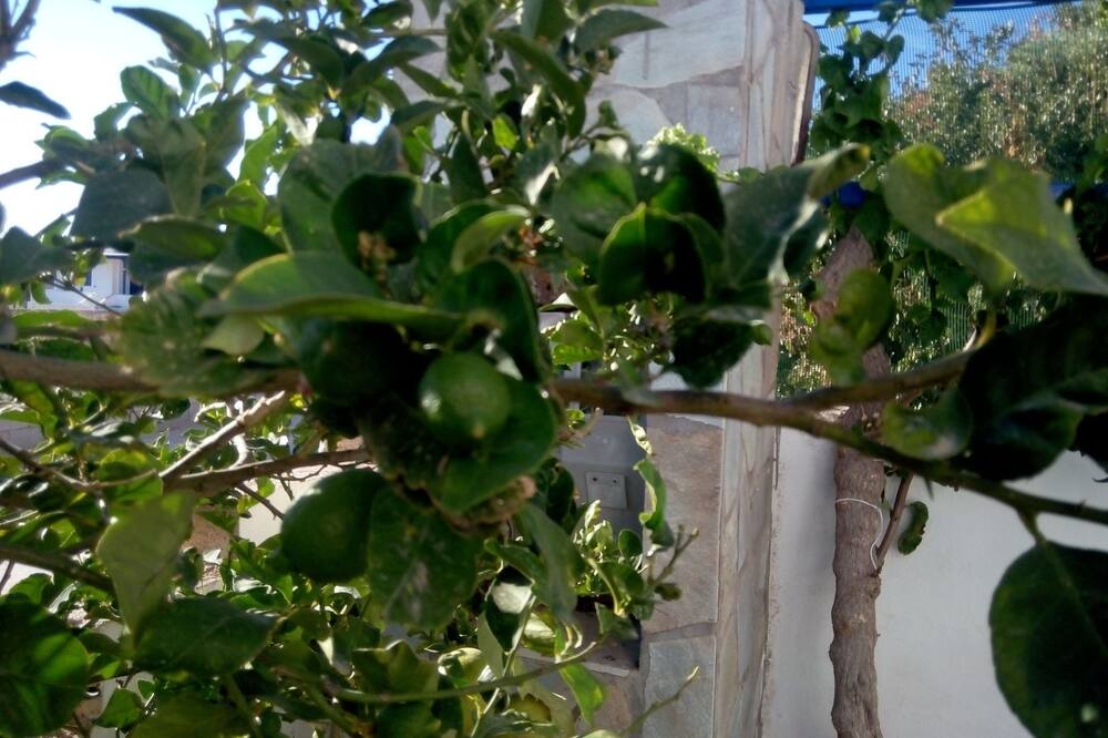 Photo of Others in Aliki