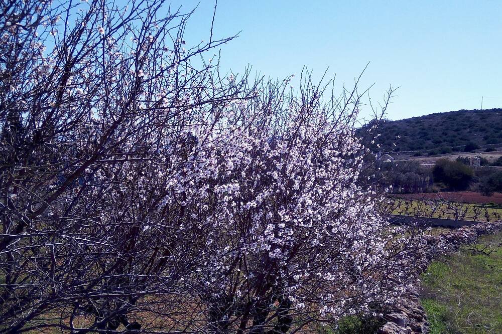 Photo of Outdoor in Aliki