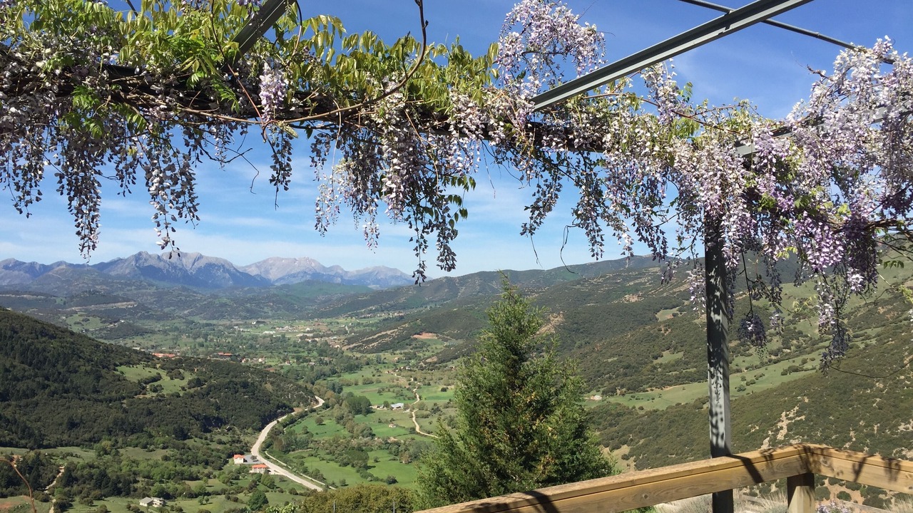 Photo of Outdoor in Kalavrita