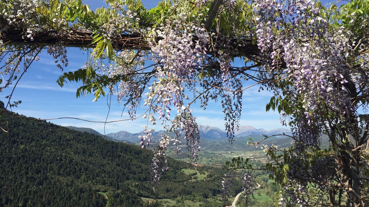Photo of Patio Balcony in Kalavrita