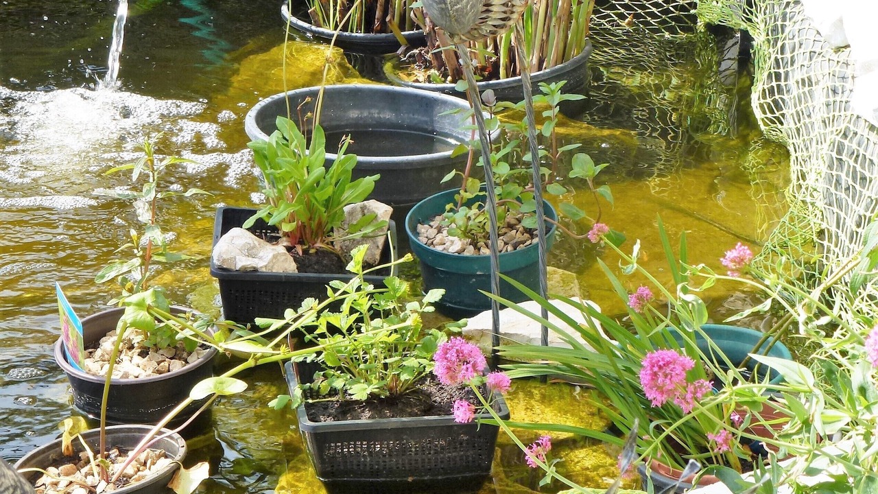 Photo of Outdoor in Apolpaina