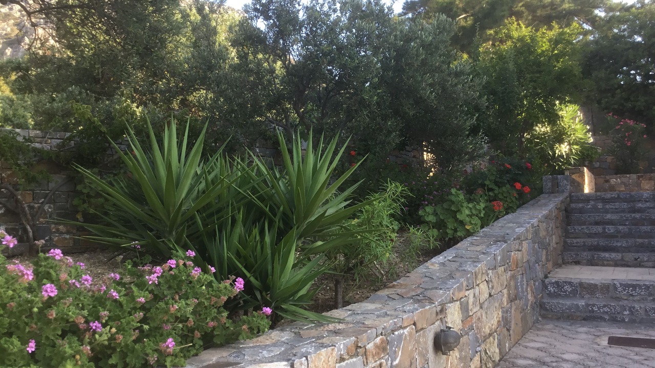 Photo of Outdoor in Old Hersonissos