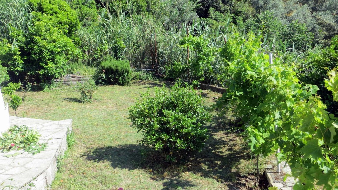 Photo of Outdoor in South Pelion