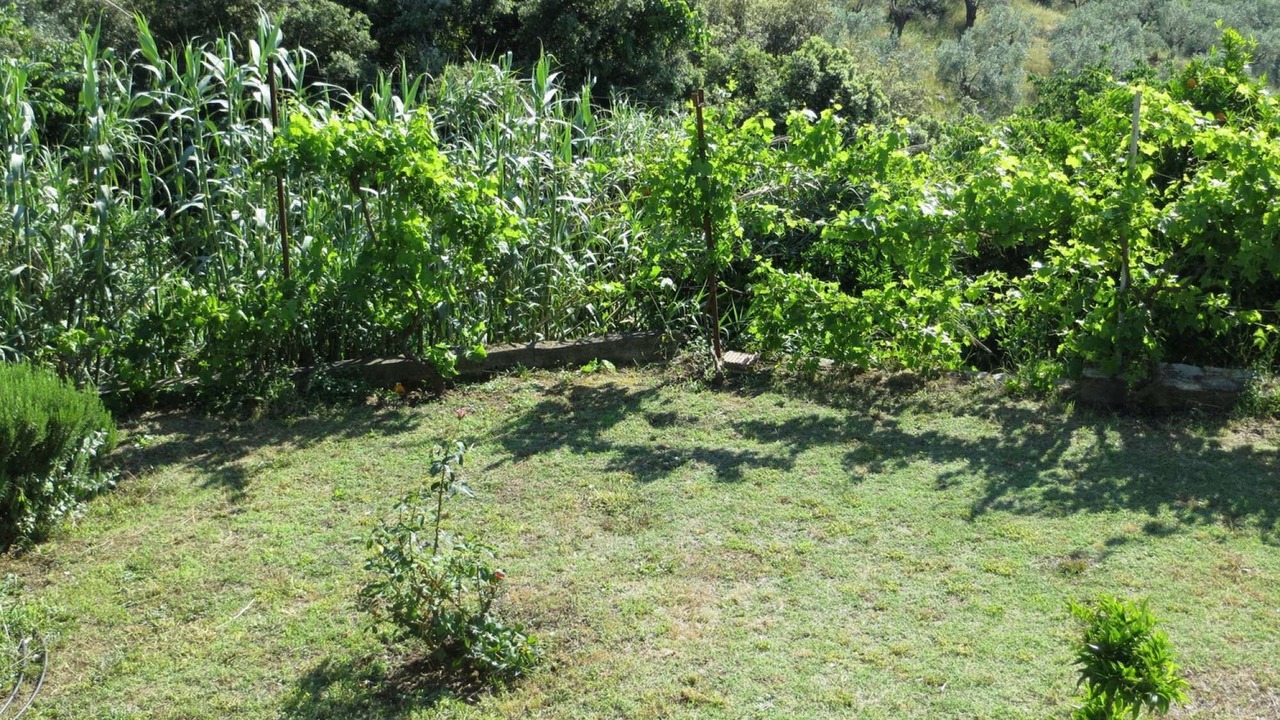 Photo of Outdoor in South Pelion