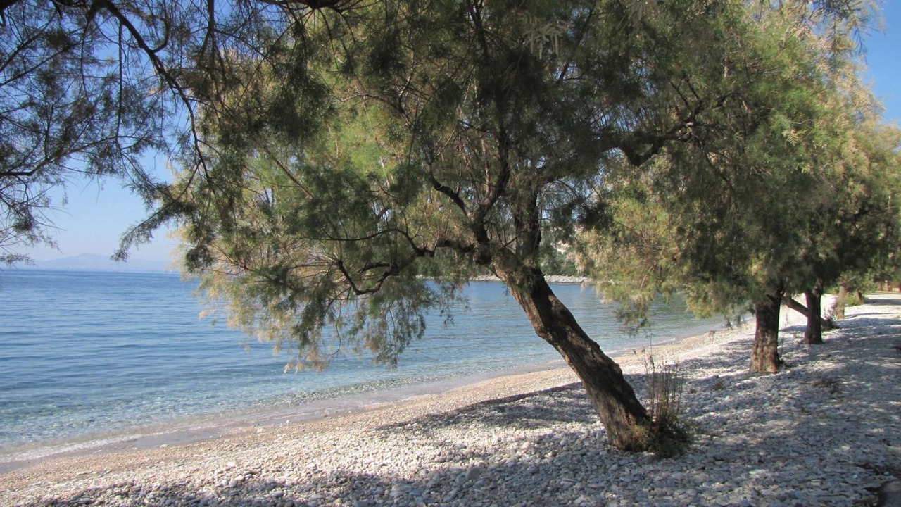 Photo of Others in South Pelion