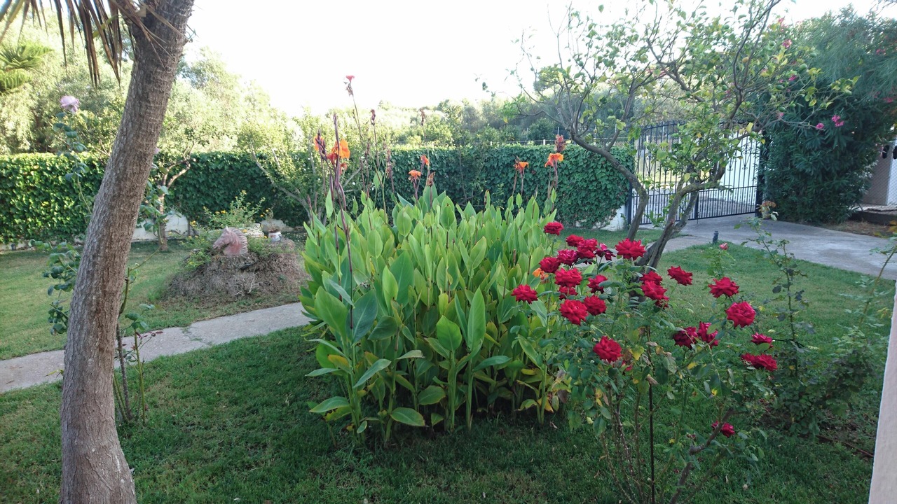 Photo of Outdoor in Lepreo