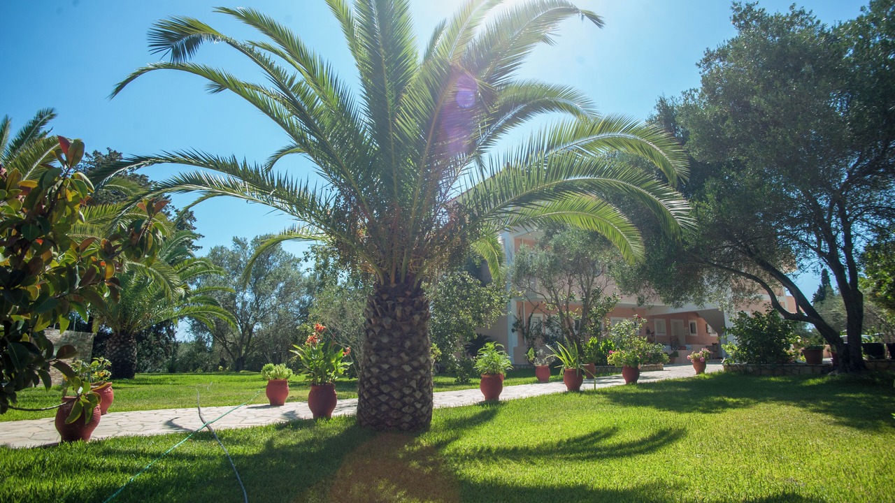 Photo of Outdoor in Svoronata