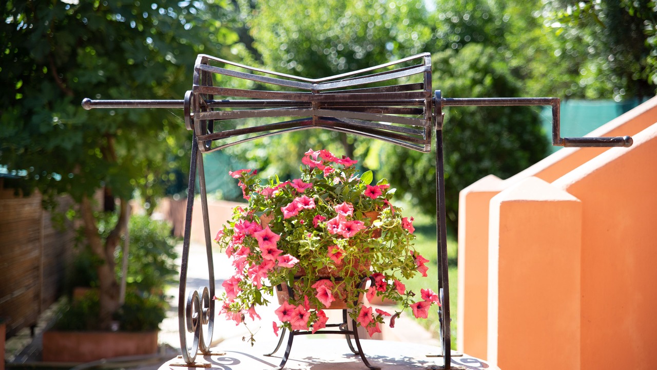 Photo of Outdoor in Dassia