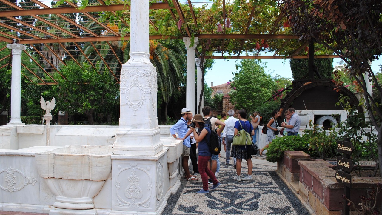 Photo of Others in Avgonima