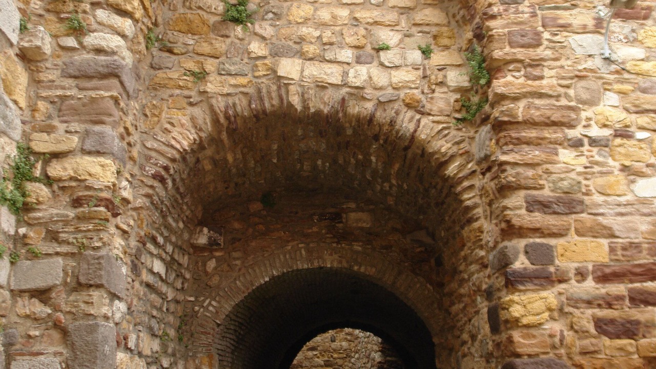 Photo of Others in Avgonima