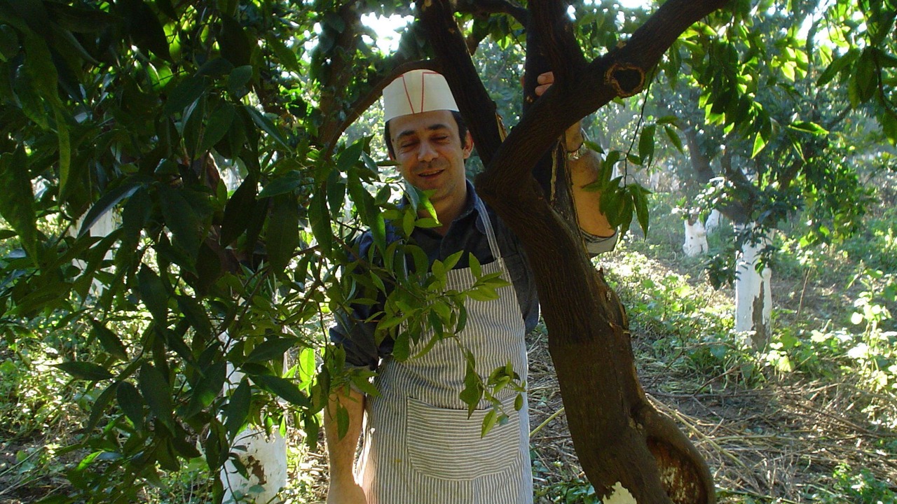 Photo of Others in Avgonima