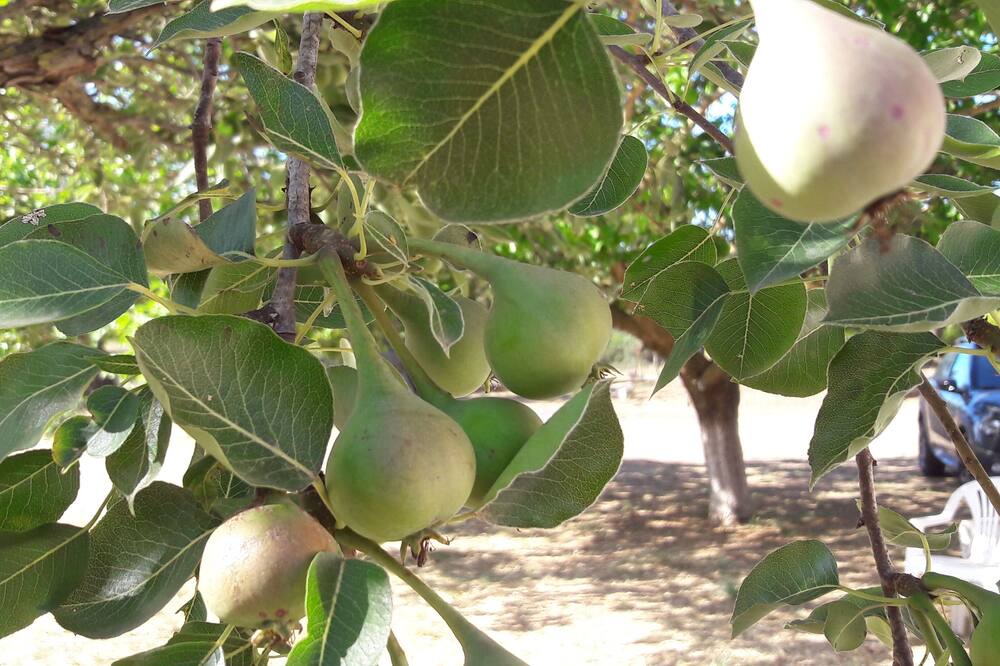 Photo of Outdoor in Leivathos