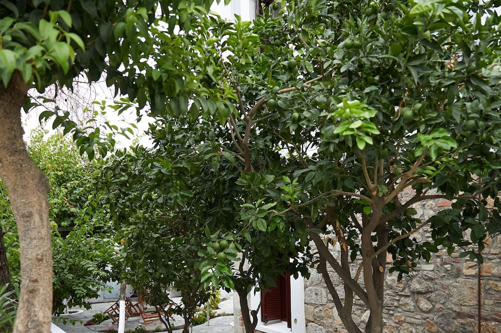Photo of Outdoor in Vrontados