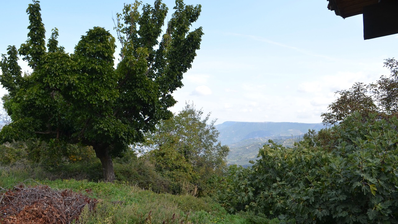 Photo of Outdoor in Mesaia Trikala