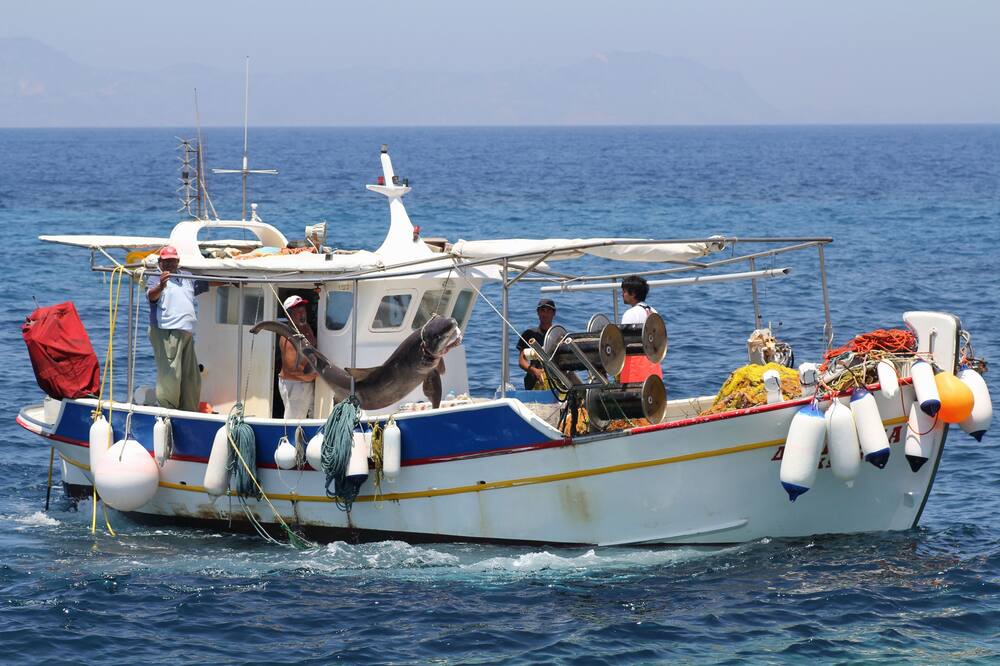 Photo of Others in Mandraki