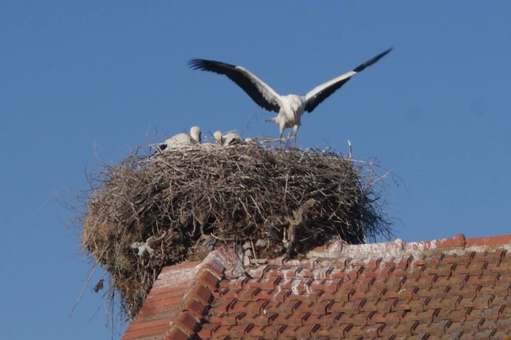 Photo of Outdoor in Skala Kallonis