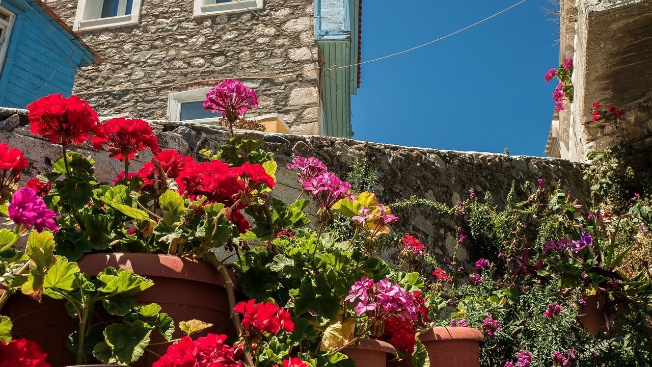 Photo of Outdoor in Kokkari