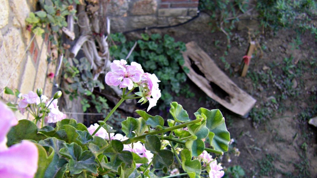 Photo of Outdoor in Psakoudia