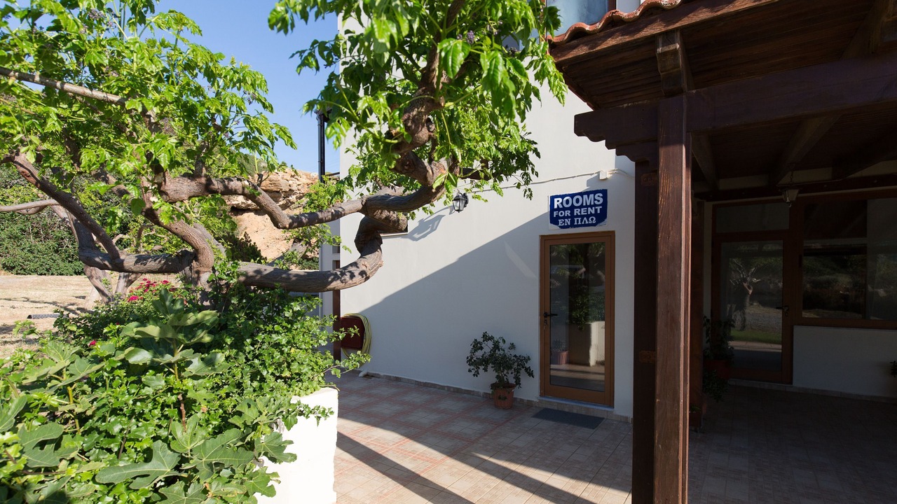 Photo of Outdoor in Falassarna