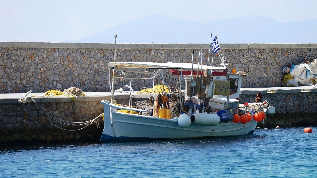 Photo of Others in Ilia