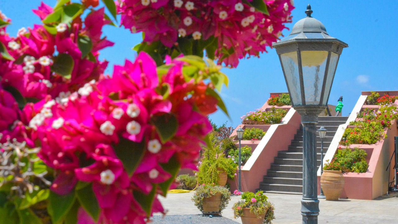 Photo of Outdoor in Paliki