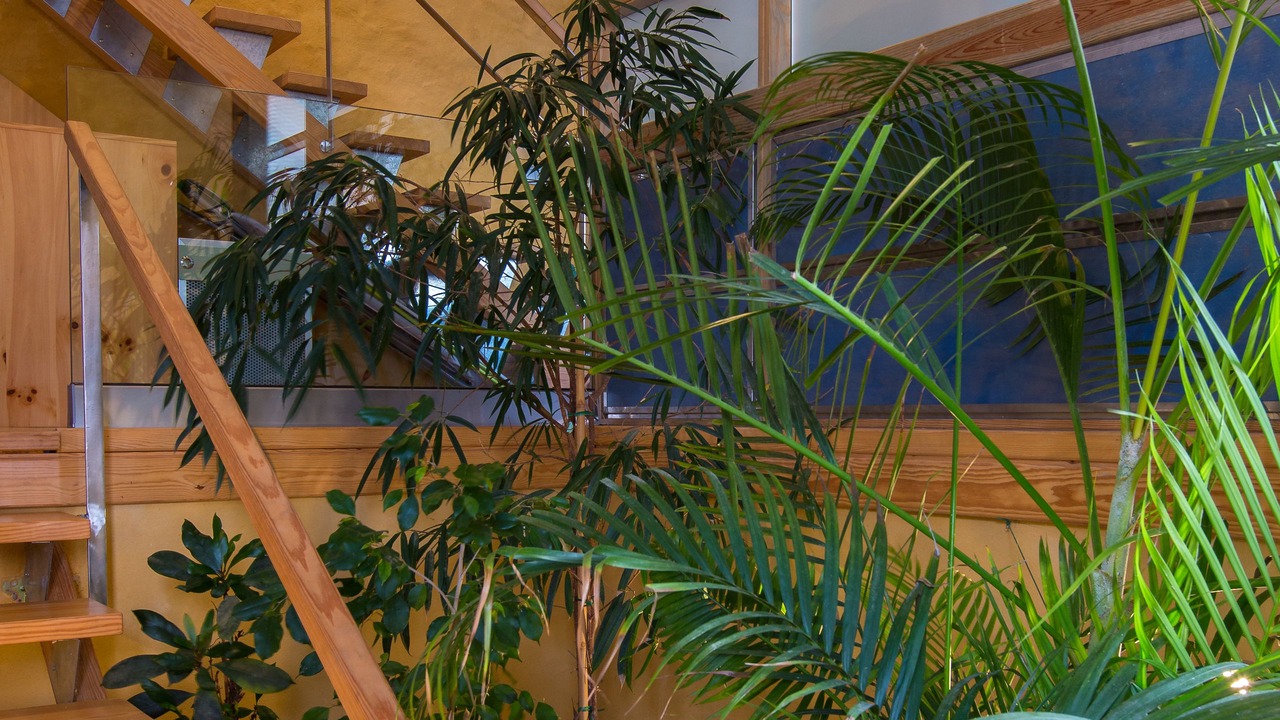 Photo of Outdoor in Kolymbari